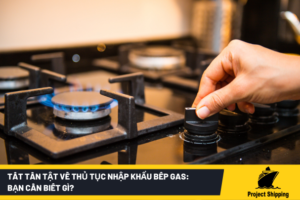 Tất Tần Tật Về Thủ Tục Nhập Khẩu Bếp Gas: Bạn Cần Biết Gì?