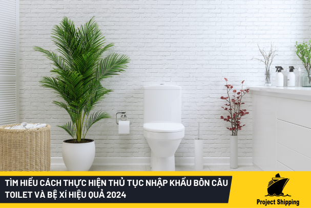 Tìm Hiểu Cách Thực Hiện Thủ Tục Nhập Khẩu Bồn Cầu Toilet Và Bệ Xí Hiệu Quả 2024