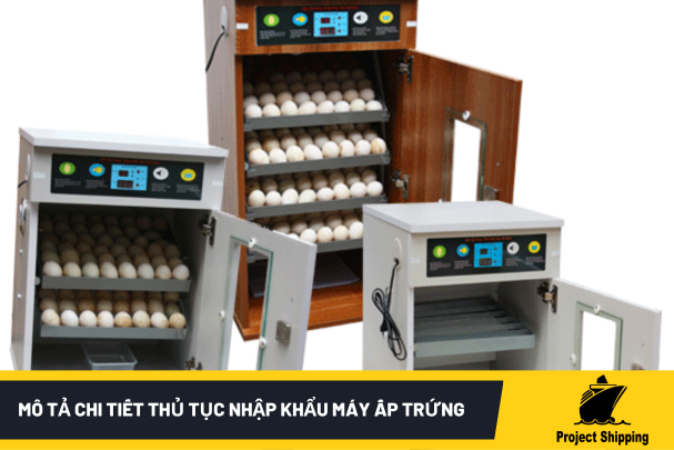 Mô Tả Chi Tiết Thủ Tục Nhập Khẩu Máy Ấp Trứng