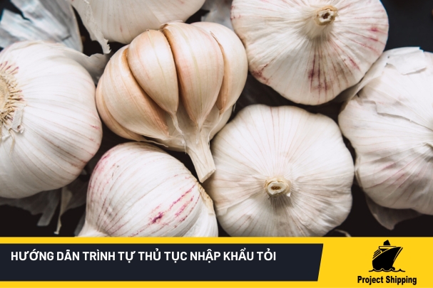 1 _ new tự thủ tục nhập khẩu tỏi