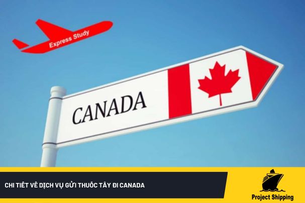 Chi tiết về dịch vụ gửi Thuốc Tây đi Canada