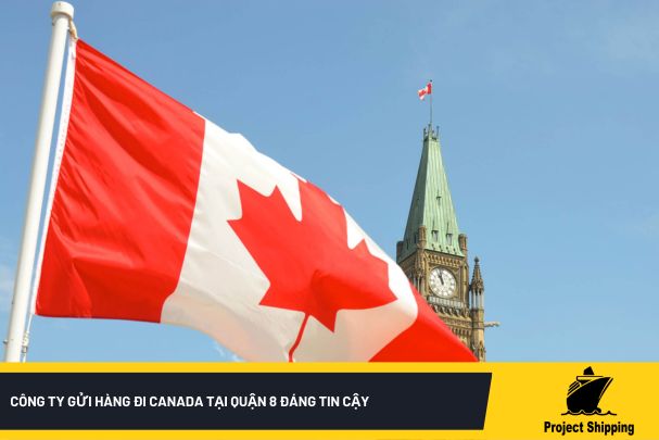 Để hiểu rõ hơn về vận chuyển hàng đi Canada cũng như những dịch vụ trọn gói khác cho việc gửi hàng đi Canada mới nhất, hãy tham khảo ngay Dịch vụ vận chuyển hàng sang Canada uy tín, nhanh chóng 2024 của chúng tôi.