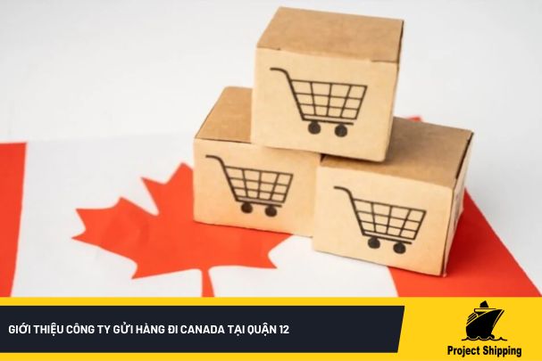 Giới thiệu công ty gửi hàng đi Canada tại Quận 12