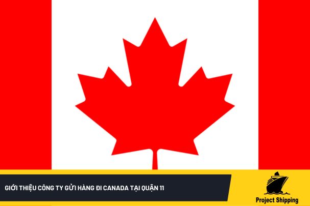 Giới thiệu công ty gửi hàng đi Canada tại quận 11