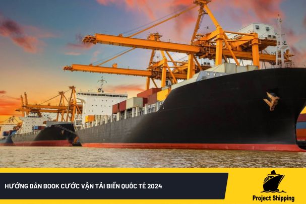 Hướng dẫn book cước vận tải biển quốc tế 2024