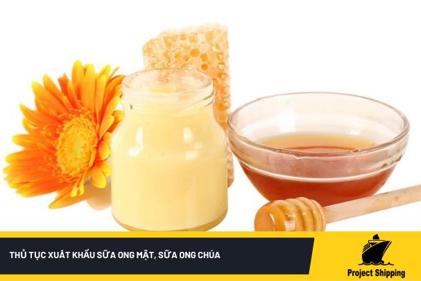 Thủ tục xuất khẩu sữa ong mật, sữa ong chúa