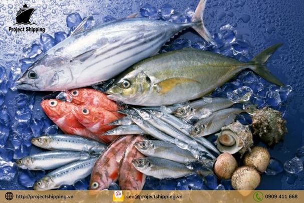 Thủ tục nhập khẩu thủy sản tươi sống để làm thực phẩm