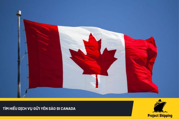 Tìm hiểu dịch vụ gửi yến sào đi Canada