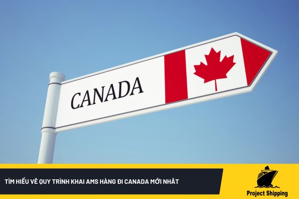 Tìm hiểu về quy trình khai AMS hàng đi Canada mới nhất