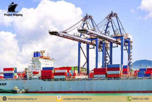 Vận chuyển hàng sea đi cont lạnh và những điều cần biết Vận chuyển hàng sea đi cont lạnh và những điều cần biết
