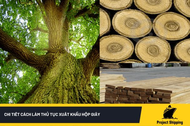 Hướng chi tiết cách làm thủ tục nhập khẩu gỗ sồi