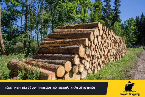 Thông tin chi tiết về quy trình làm thủ tục nhập khẩu gỗ tự nhiên