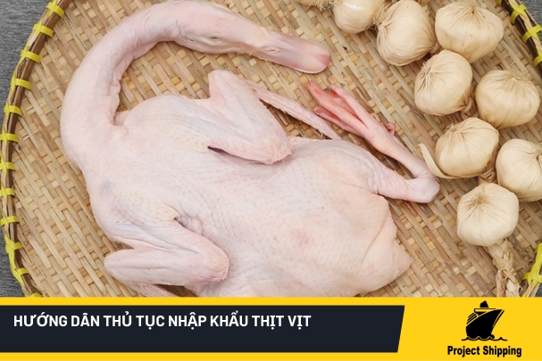 thủ tục nhập khẩu thịt vịt