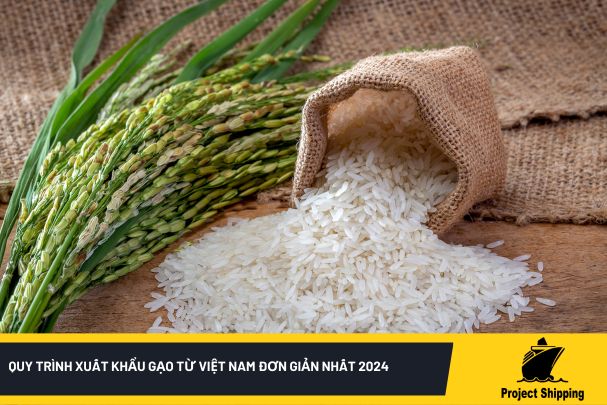 Quy trình xuất khẩu gạo từ Việt Nam đơn giản nhất 2024