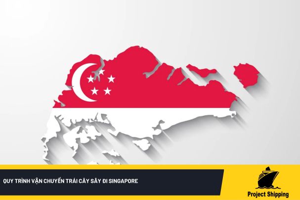 Quy trình vận chuyển trái cây sấy đi Singapore