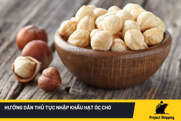 Thủ tục nhập khẩu hạt óc chó