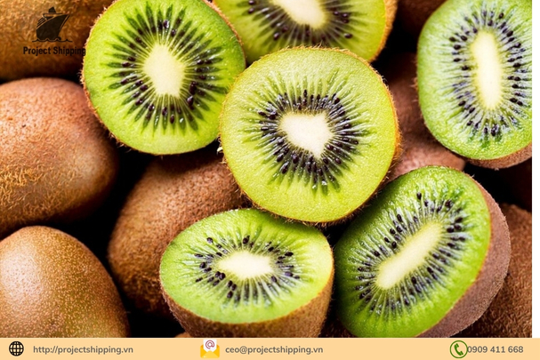 Thủ tục nhập khẩu quả Kiwi chi tiết nhất