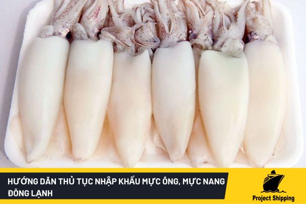 thủ tục nhập khẩu mực ống, mực nang đông lạnh