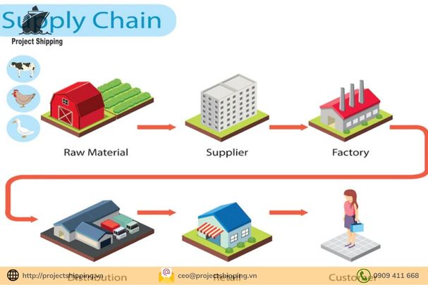 mô hình phổ biến trong Supply chain