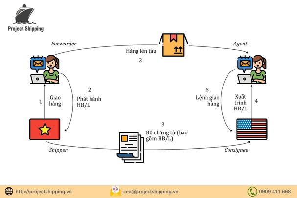 Quy trình phối hợp chứng từ giữa MBL & HBL thế nào?