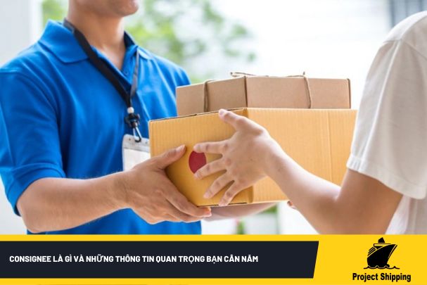 Consignee là gì và những thông tin quan trọng bạn cần nắm