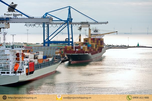 Thông tin về cước vận chuyển hàng hóa từ Sơn Đông về Việt Nam