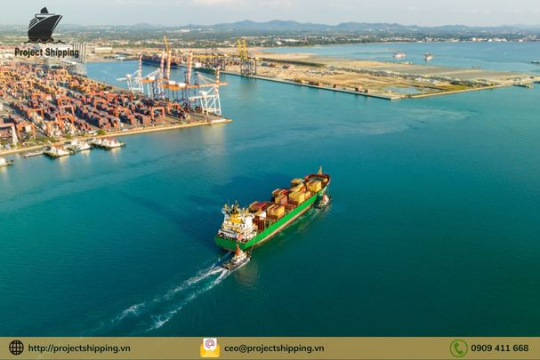 Tổng hợp thông tin về cước vận chuyển từ Hồ Chí Minh đi Dubai