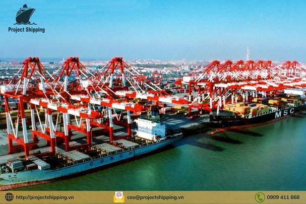 Thông tin về cước vận chuyển từ Ningbo về Việt Nam mới nhất
