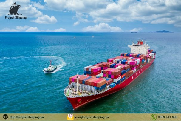 Chi tiết về cước vận chuyển từ Thanh Đảo về Việt Nam