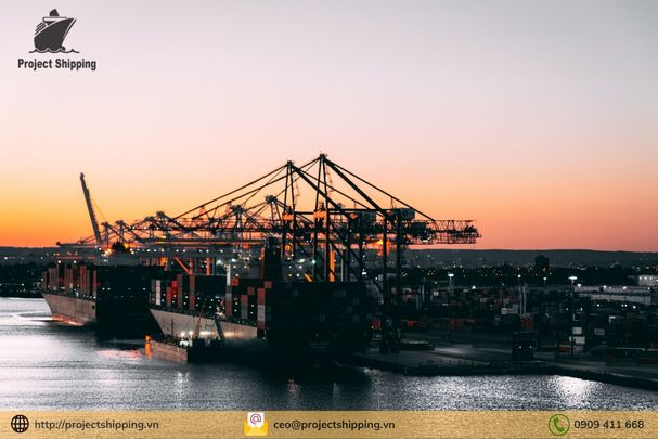 Chi tiết về cước vận chuyển từ Thanh Đảo về Việt Nam