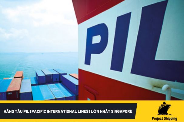 Tìm hiểu về hãng tàu PIL (Pacific International Lines) lớn nhất Singapore