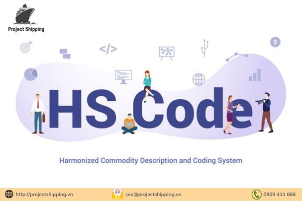 Mã HS Code là gì? Cách tra mã HS code 2024 chính xác nhất