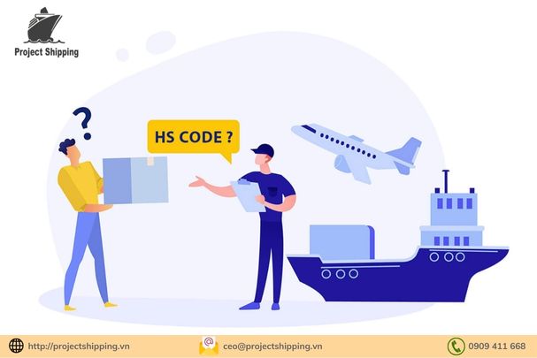 Mã HS Code là gì? Cách tra mã HS code 2024 chính xác nhất