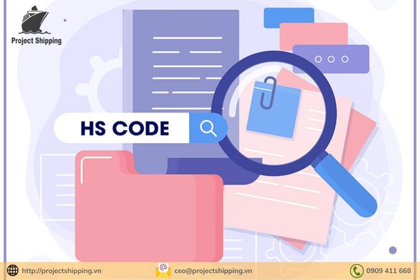 Mã HS Code là gì? Cách tra mã HS code 2024 chính xác nhất