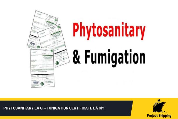 phytosanitary-la-gi-fumigation-certificate-la-gi