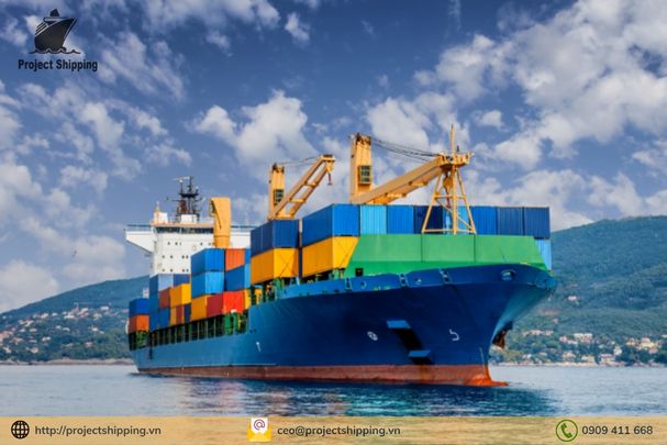 Shipped On Board trong logistics là gì? Những lưu ý bạn cần phải biết