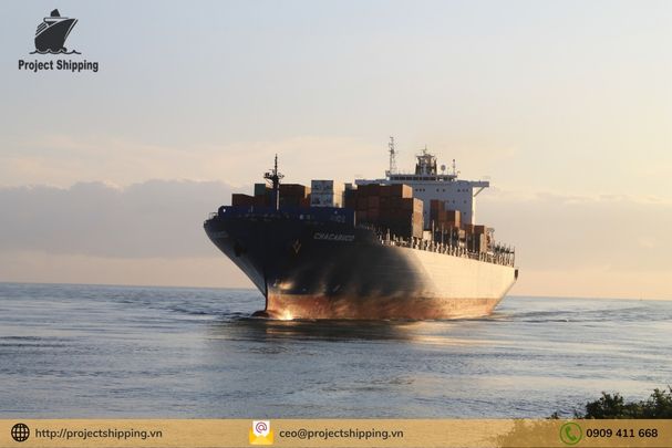 Shipped On Board trong logistics là gì? Những lưu ý bạn cần phải biết