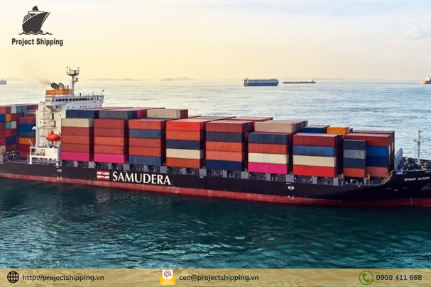 Đầy đủ thông tin về hãng tàu SAMUDERA mới nhất 2024