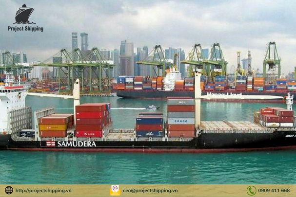 Đầy đủ thông tin về hãng tàu SAMUDERA mới nhất 2024