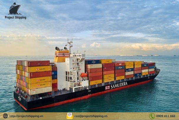 Đầy đủ thông tin về hãng tàu SAMUDERA mới nhất 2024