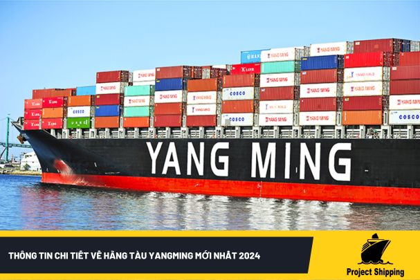 Thông tin chi tiết về hãng tàu YangMing mới nhất 2024