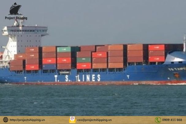 Tìm hiểu về hãng tàu TS LINES lớn nhất Hồng Kông