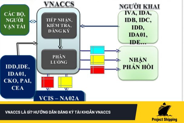 vnaccs-la-gi