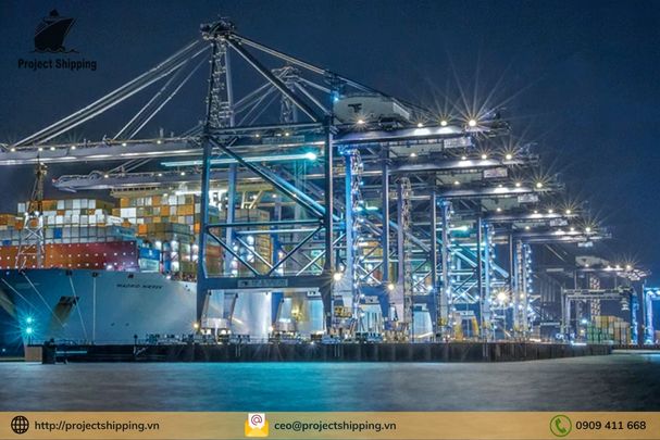 Liệt kê 10 công ty container vận tải biển lớn nhất thế giới năm 2024