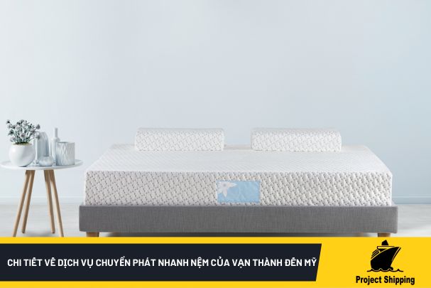 Chi tiết về dịch vụ chuyển phát nhanh nệm của Vạn Thành đến Mỹ