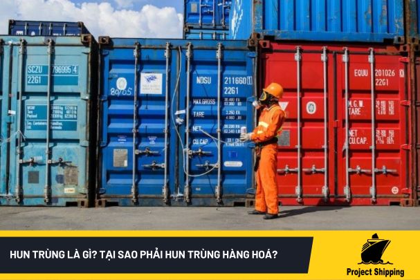 Hun trùng là gì? Tại sao phải hun trùng hàng hoá?