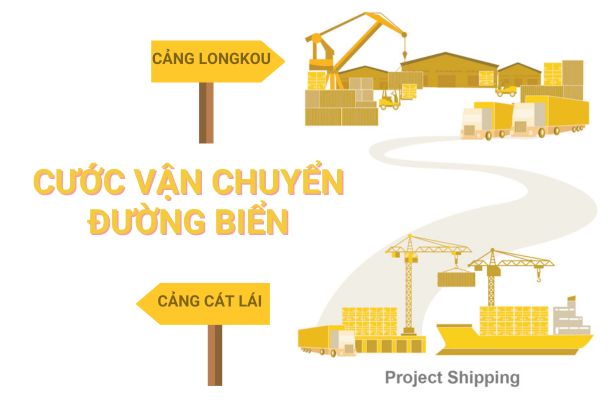 Cước vận chuyển đường biển từ cảng Cát Lái Việt Nam đi cảng Longkou - Trung Quốc