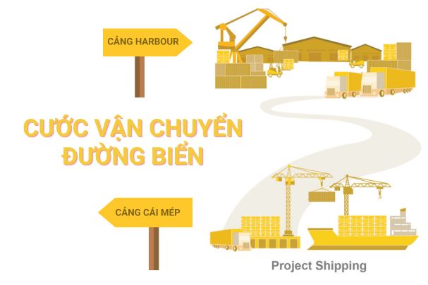 Cước vận chuyển đường biển từ Cảng Cái Mép đến Cảng Harbour