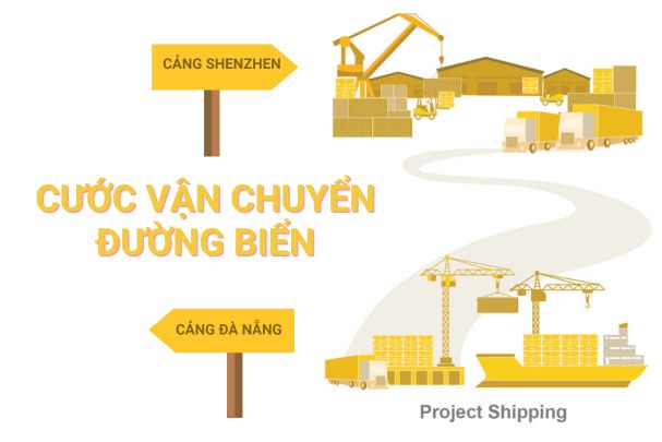 Những lưu ý khi vận chuyển hàng từ Đà Nẵng đến cảng Shenzhen  - Trung Quốc