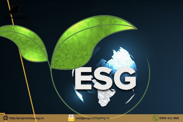 ESG là gì? Chi tiết 3 trụ cột ESG: môi trường, xã hội và quản trị